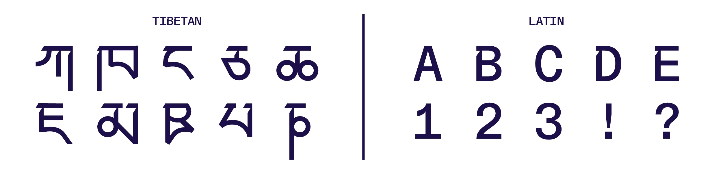 TNSA type specimen